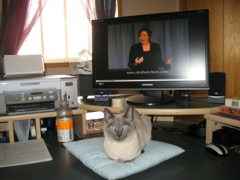 Elsa Airdrie, Alberta, Canada Here is HRH Princess Violet on her cushion, keeping me company as I enjoy today's seminar...